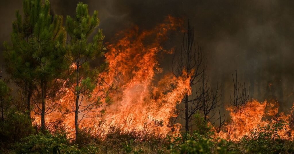 eteindre-incendie-shabbat