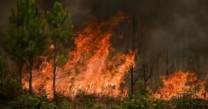 eteindre-incendie-shabbat